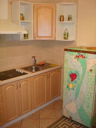 Апартаменты Apartment on Privokzalnaya 2/1 Винница Стандартные апартаменты-22